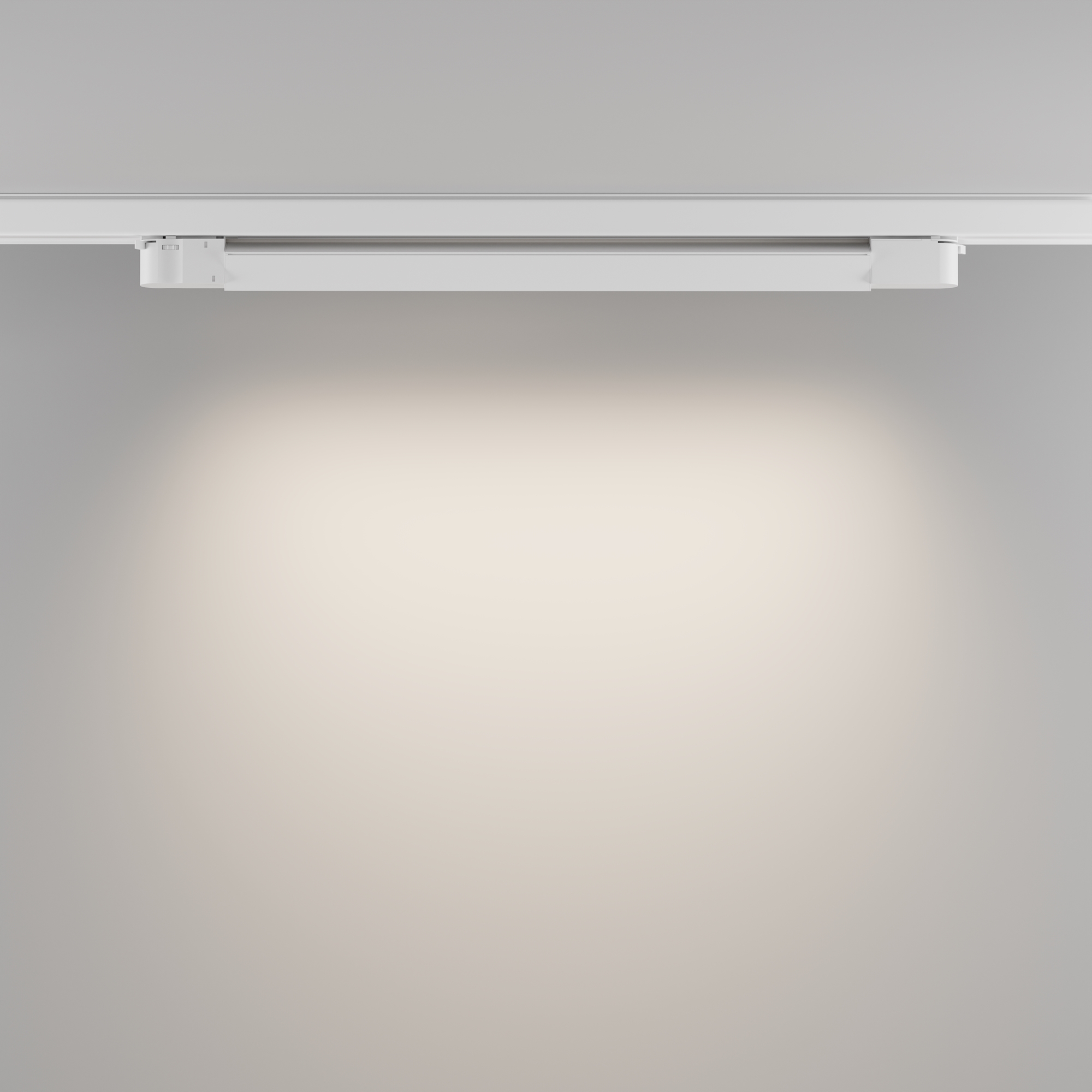 Трековый светильник Technical TR196-3-20W4K-W(N)