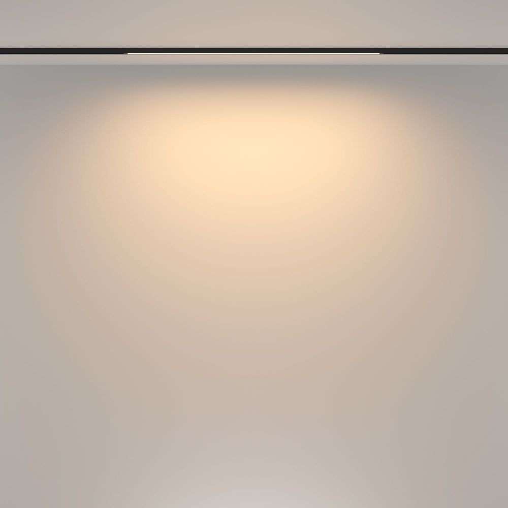 Трековый светильник Maytoni TR173-1-16WTW-B