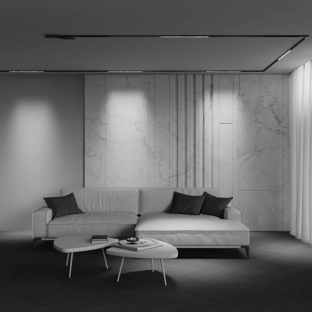 Трековый светильник Maytoni TR241-2-12W3K-B