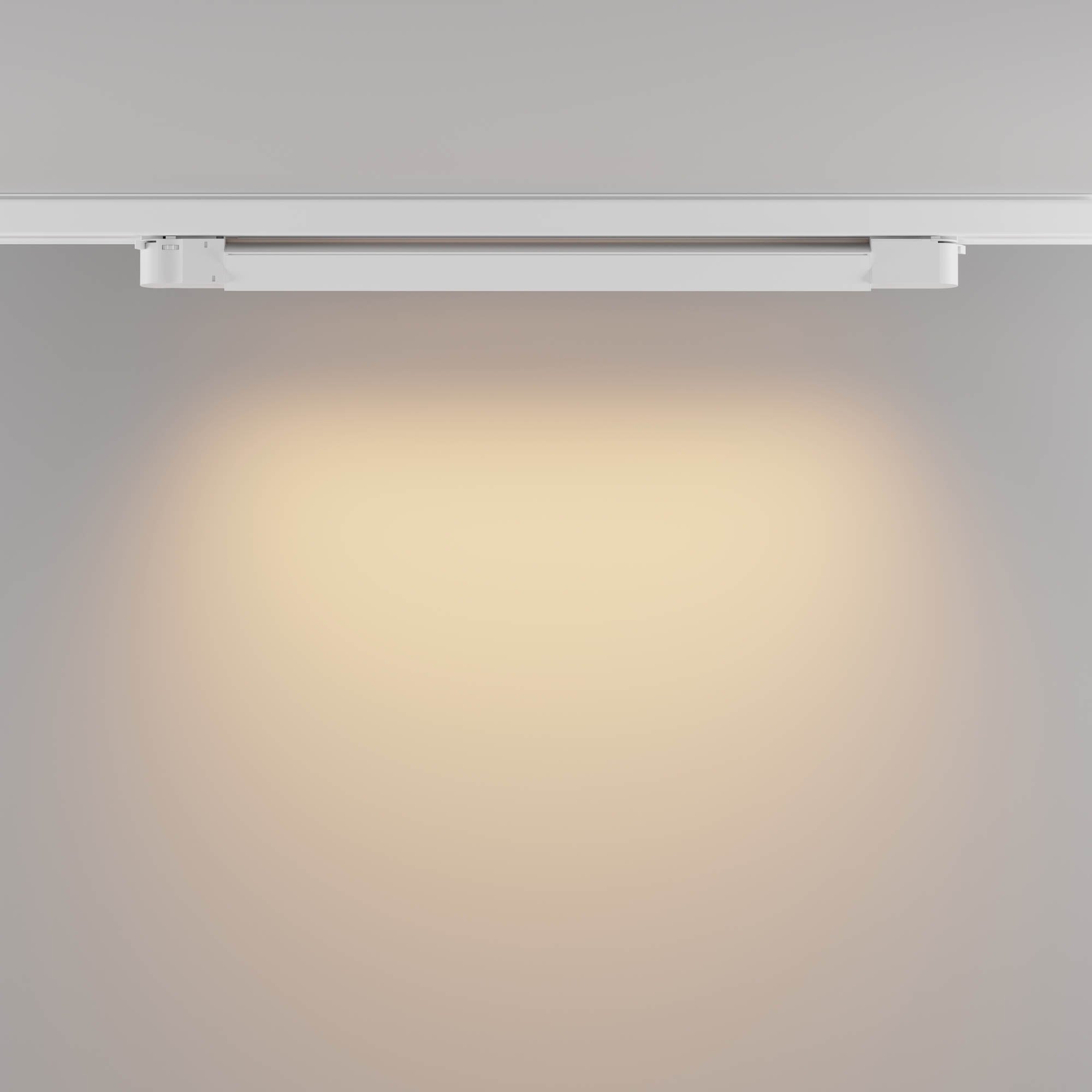 Трековый светильник Technical TR196-3-20W2.7K-W(N)