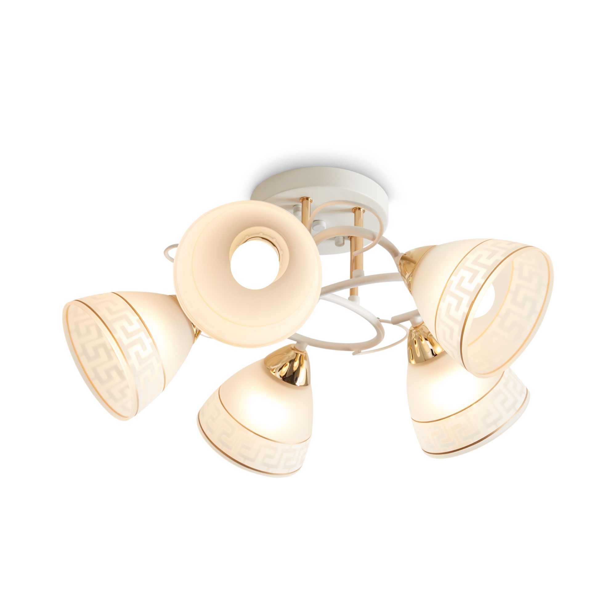 Потолочная люстра Freya FR5465CL-05W