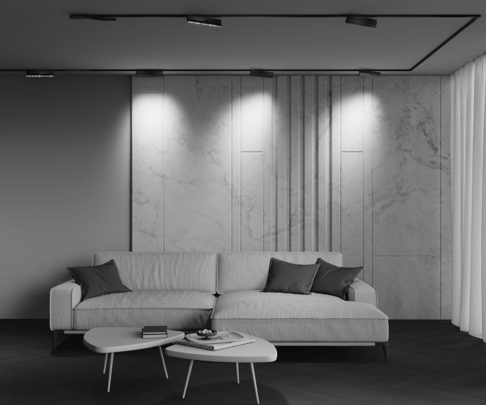 Трековый светильник Maytoni TR242-2-12W3K-B