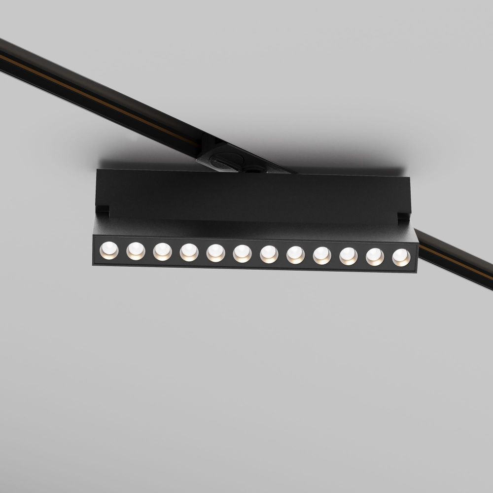 Трековый светильник Maytoni TR224-1-12WCCT-M-B