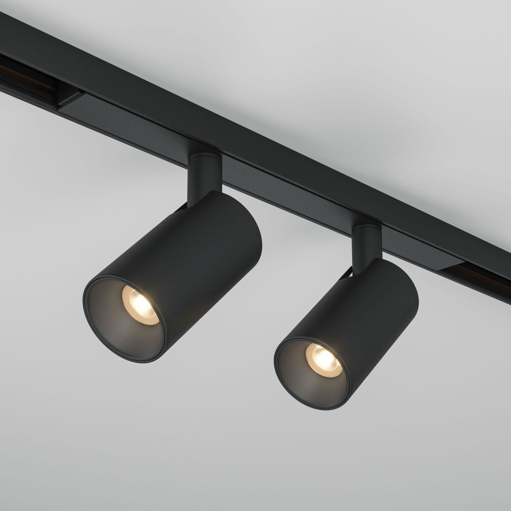 Трековый светильник Maytoni TR176-1-2X5WTW-M-B