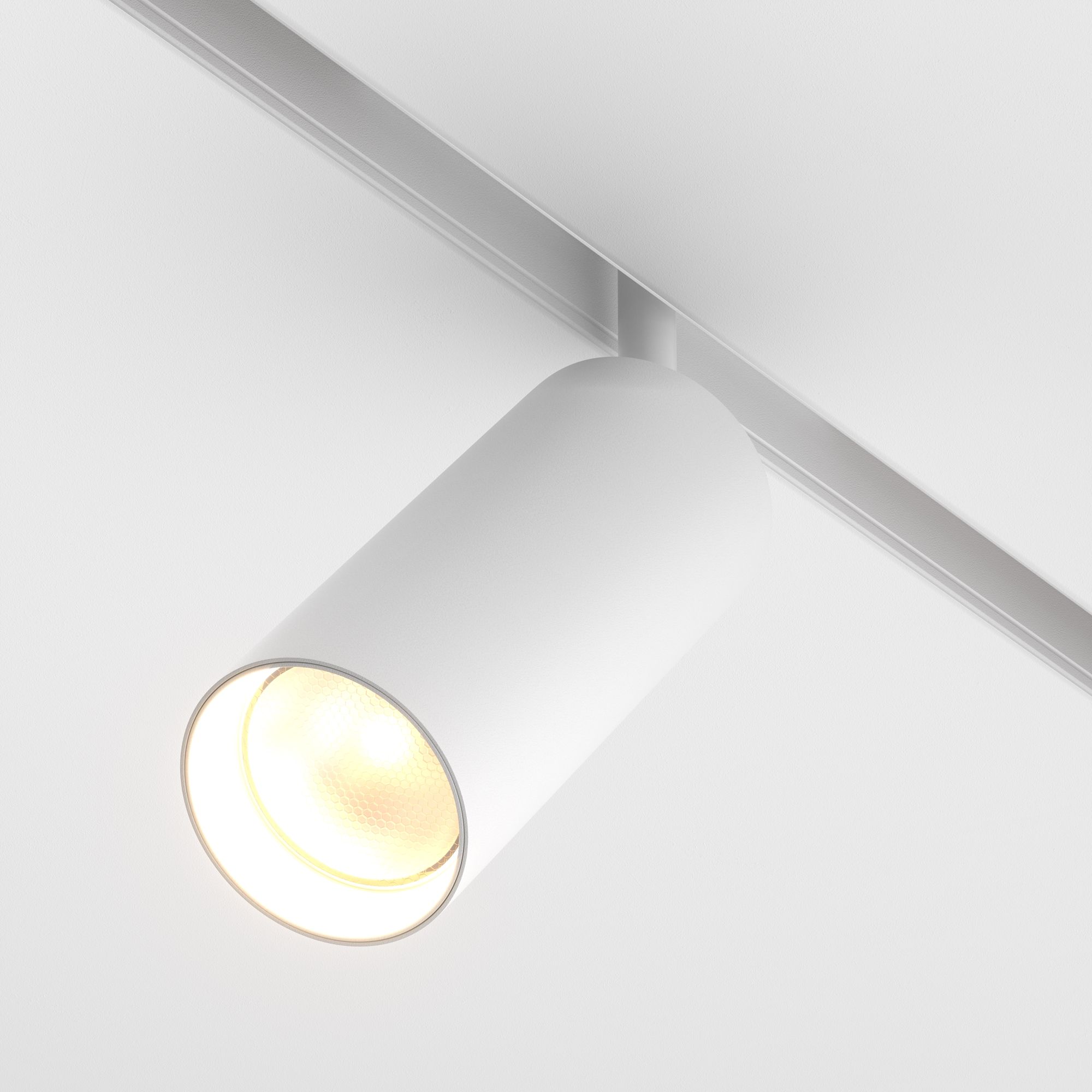 Трековый светильник Maytoni TR032-2-20W3K-S-W