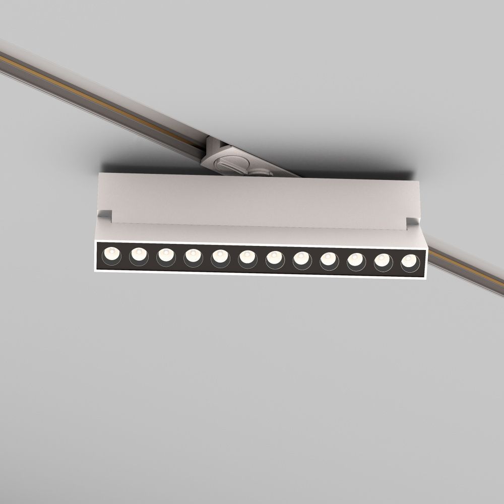 Трековый светильник Maytoni TR224-1-12WCCT-M-W