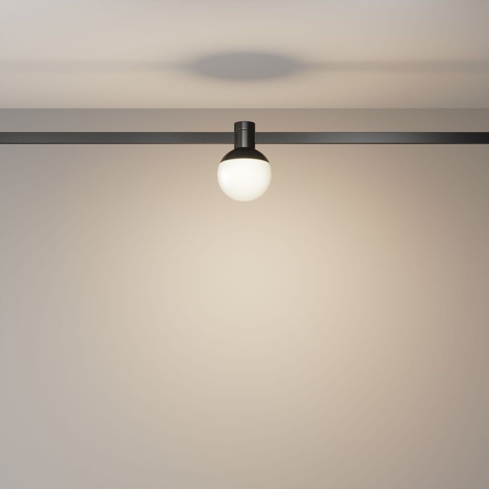 Трековый светильник Maytoni TR149-1-5W3K-B