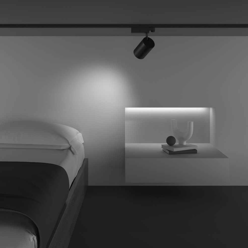 Трековый светильник Maytoni TR029-3-10W4K-B-1