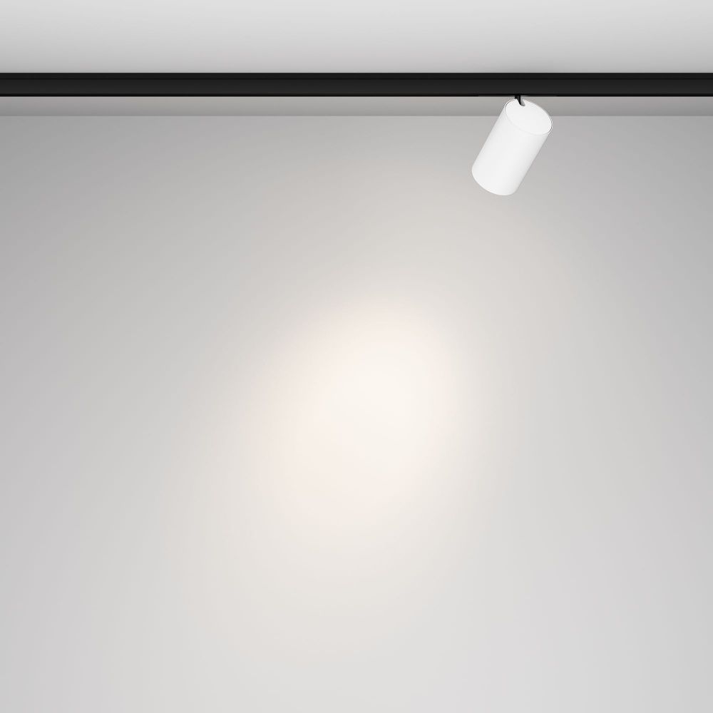 Трековый светильник Maytoni TR187-1-5W4K-M-BW