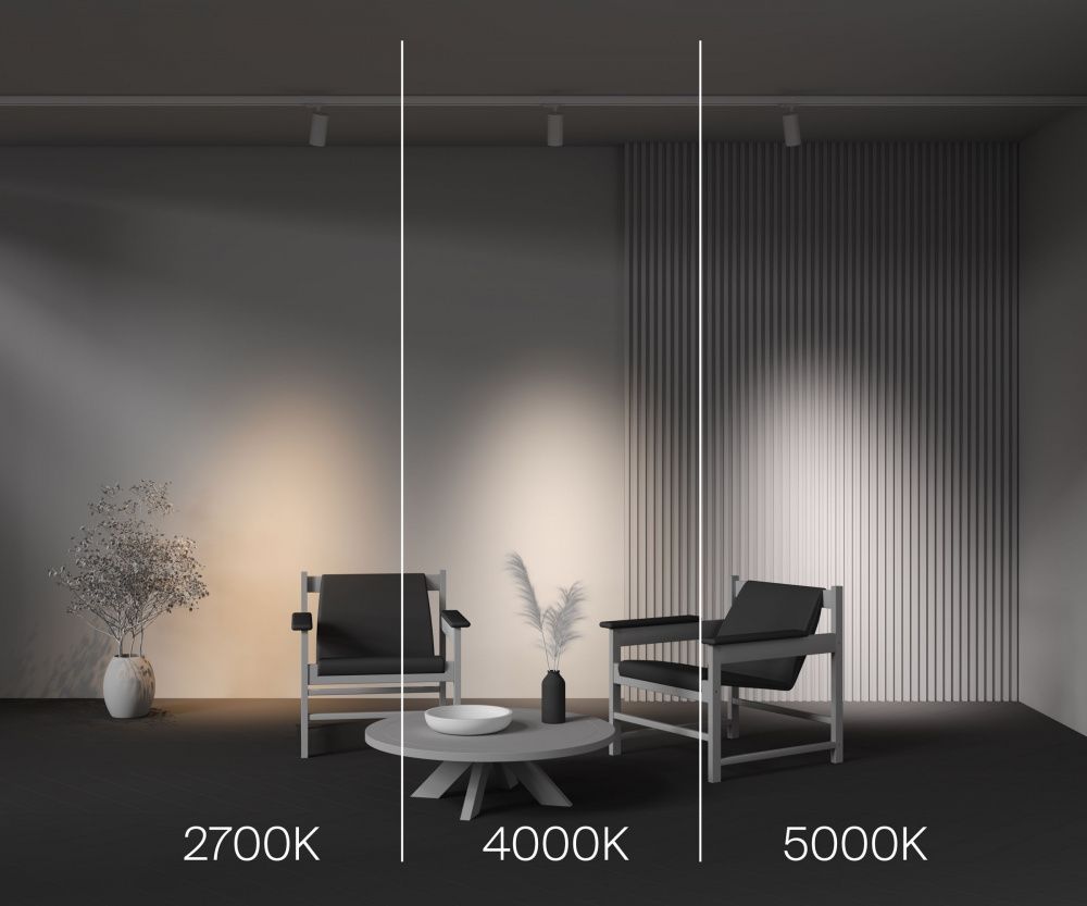 Трековый светильник Maytoni TR197-3-20WCCT-M-W