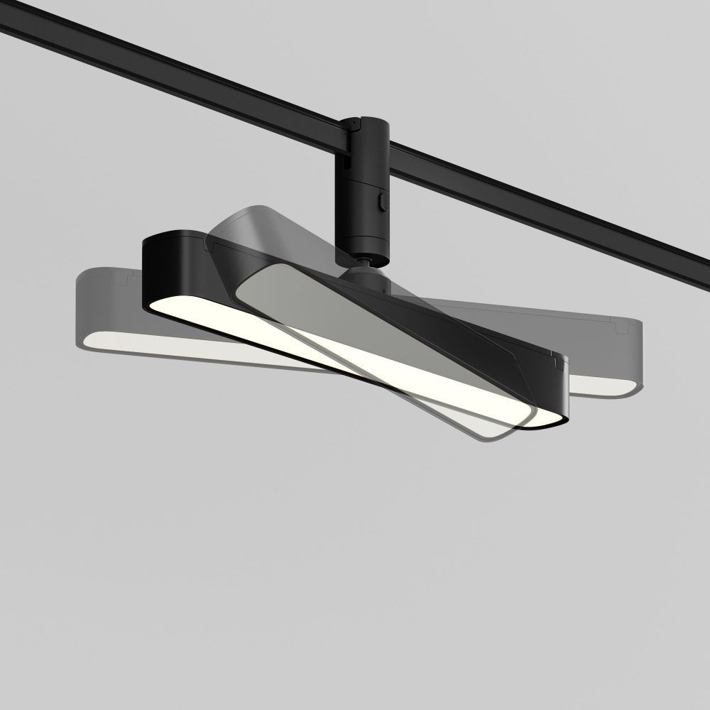 Трековый светильник Maytoni TR202-1-10W3K-B