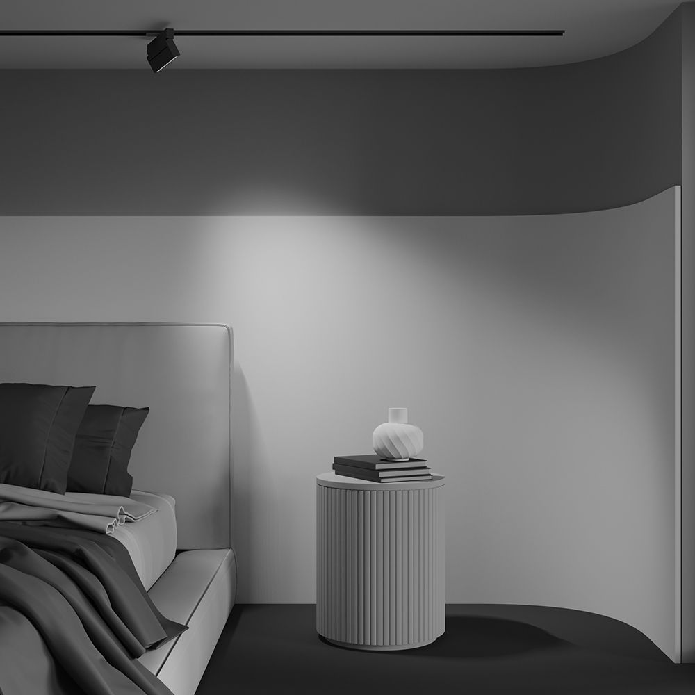 Трековый светильник Maytoni TR224-1-12WCCT-M-B