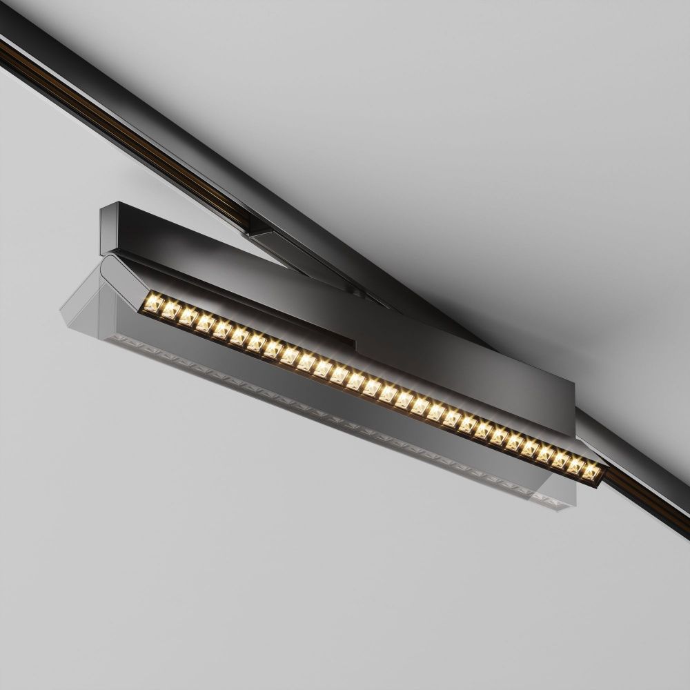 Трековый светильник Maytoni TR242-2-12W3K-B