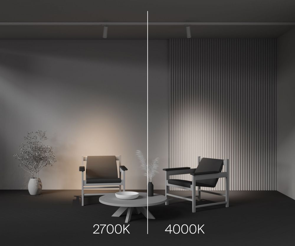 Трековый светильник Maytoni TR198-3-20W4K-Z-W