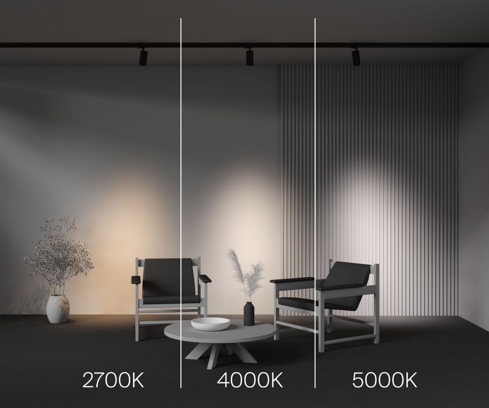 Трековый светильник Maytoni TR197-3-20WCCT-M-B