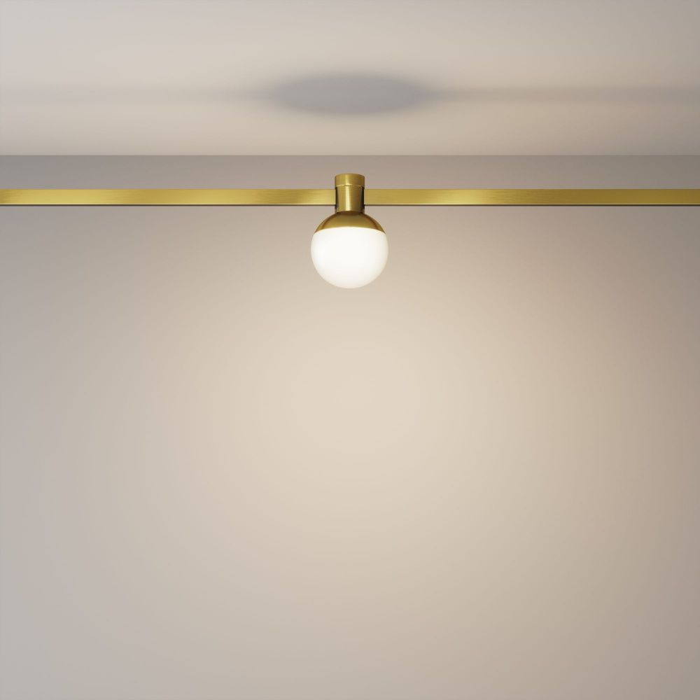 Трековый светильник Maytoni TR149-1-5W3K-BS