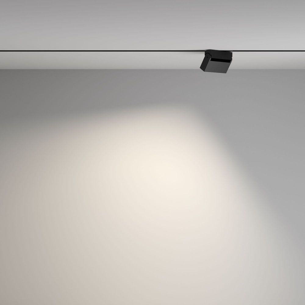 Трековый светильник Maytoni TR077-2-10W4K-B