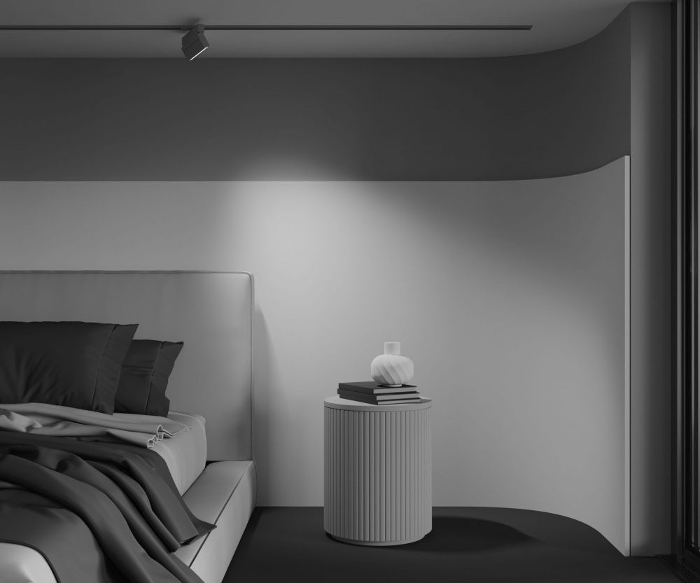 Трековый светильник Maytoni TR223-1-12WCCT-W-W