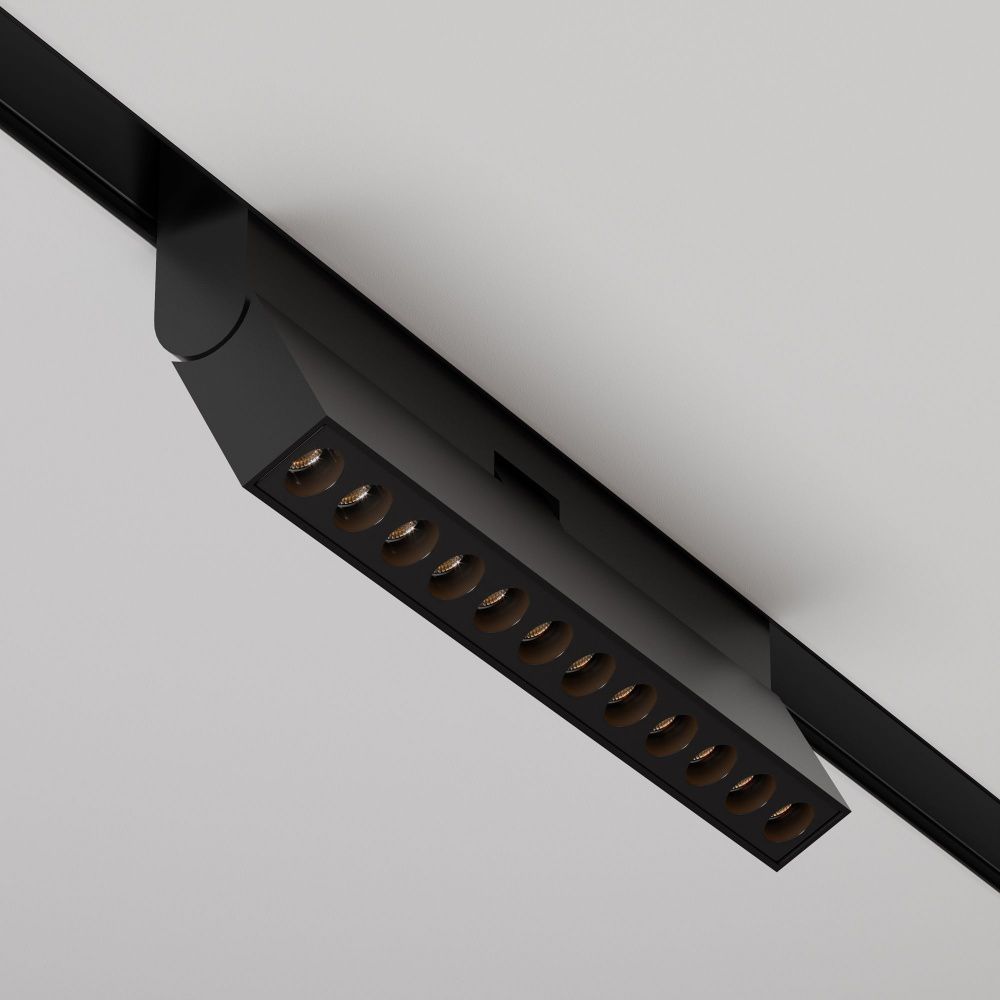 Трековый светильник Maytoni TR033-2-12W2.7K-B