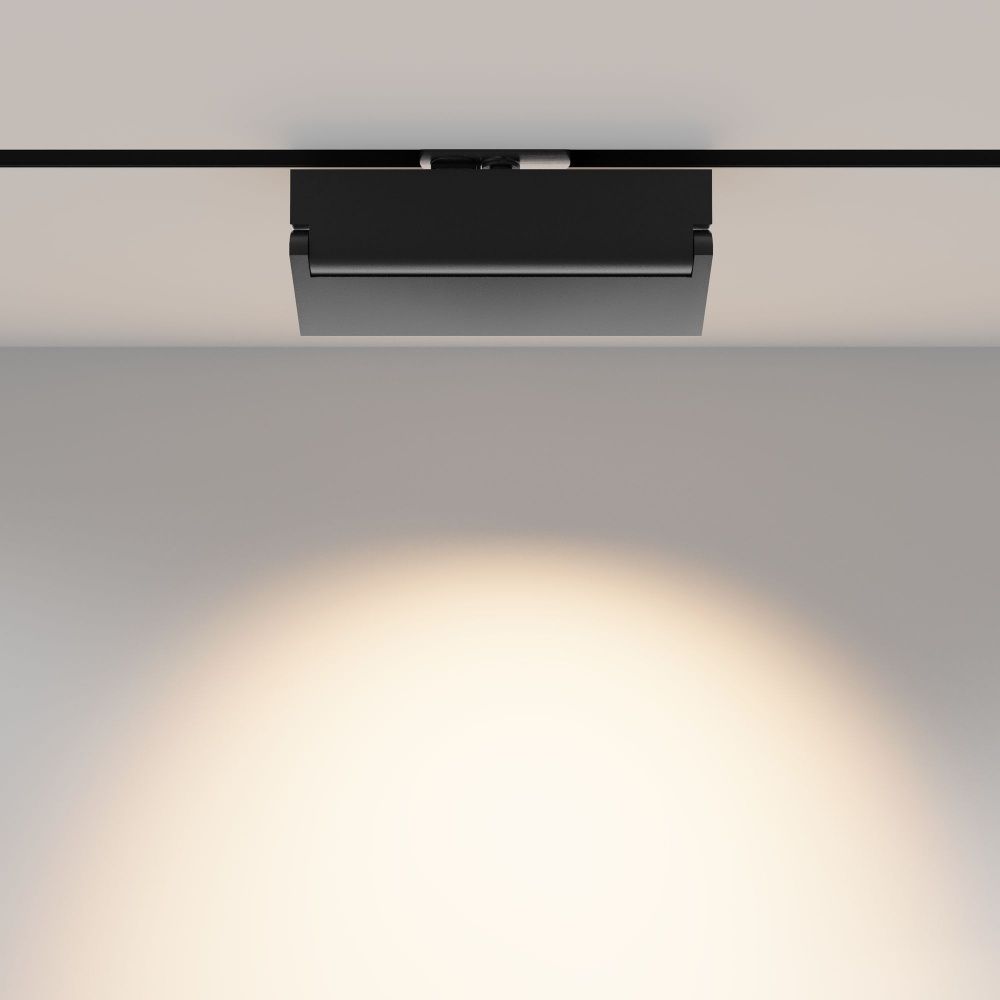 Трековый светильник Maytoni TR224-1-12WCCT-M-B