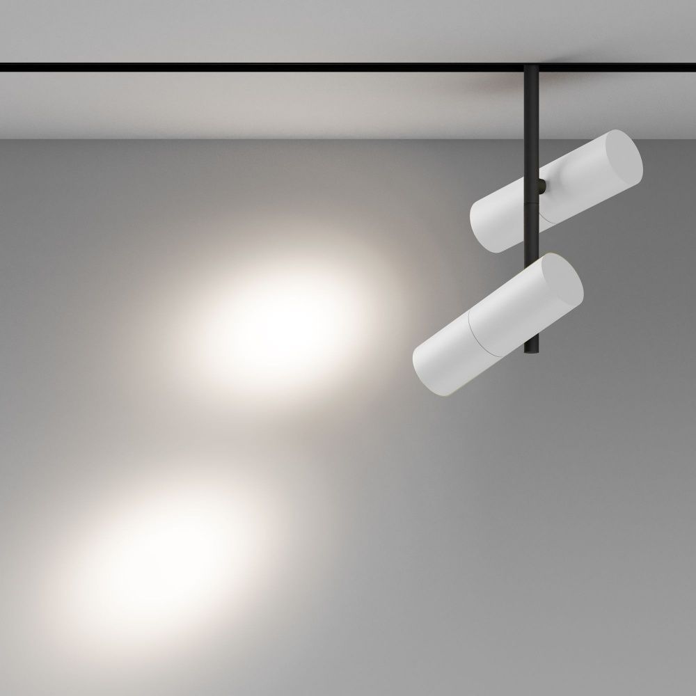 Трековый светильник Maytoni TR005-4-2X12W-DS-BW