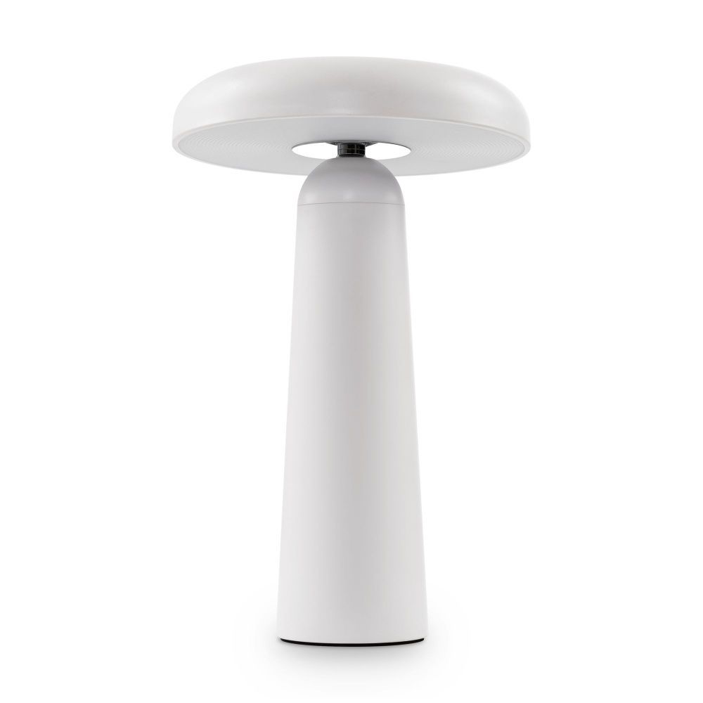 Аккумуляторный светильник Freya FR6109TL-L4W