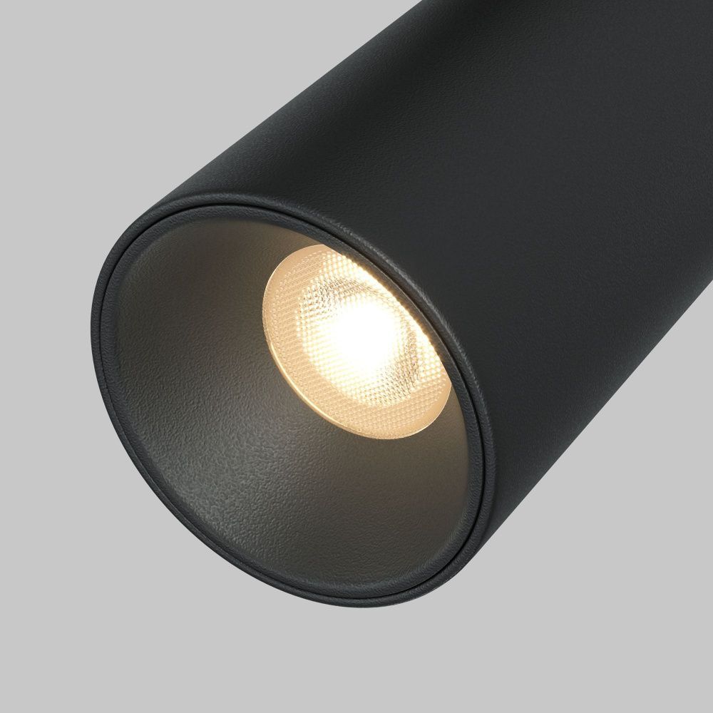 Трековый светильник Maytoni TR176-1-2X5WTW-M-B