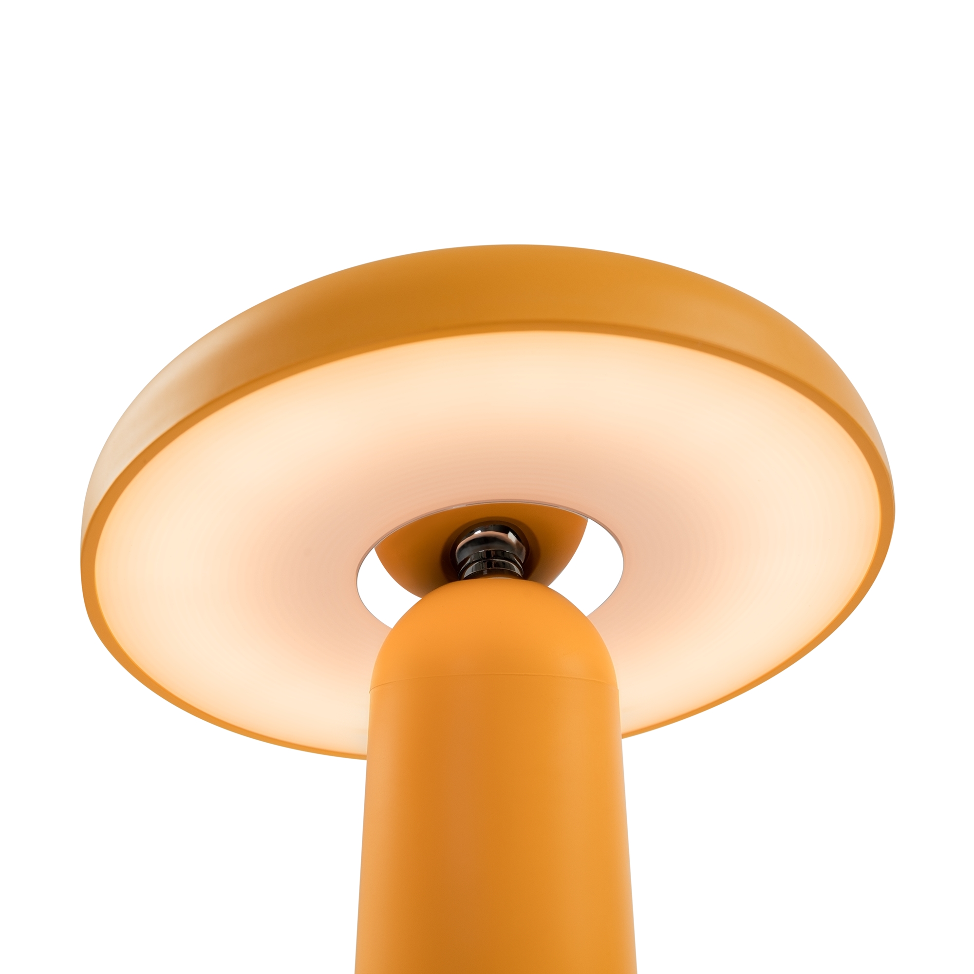 Аккумуляторный светильник Freya FR6109TL-L4OR