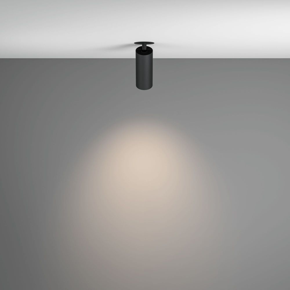 Потолочный светильник Maytoni C053CL-L12W4K-W-B