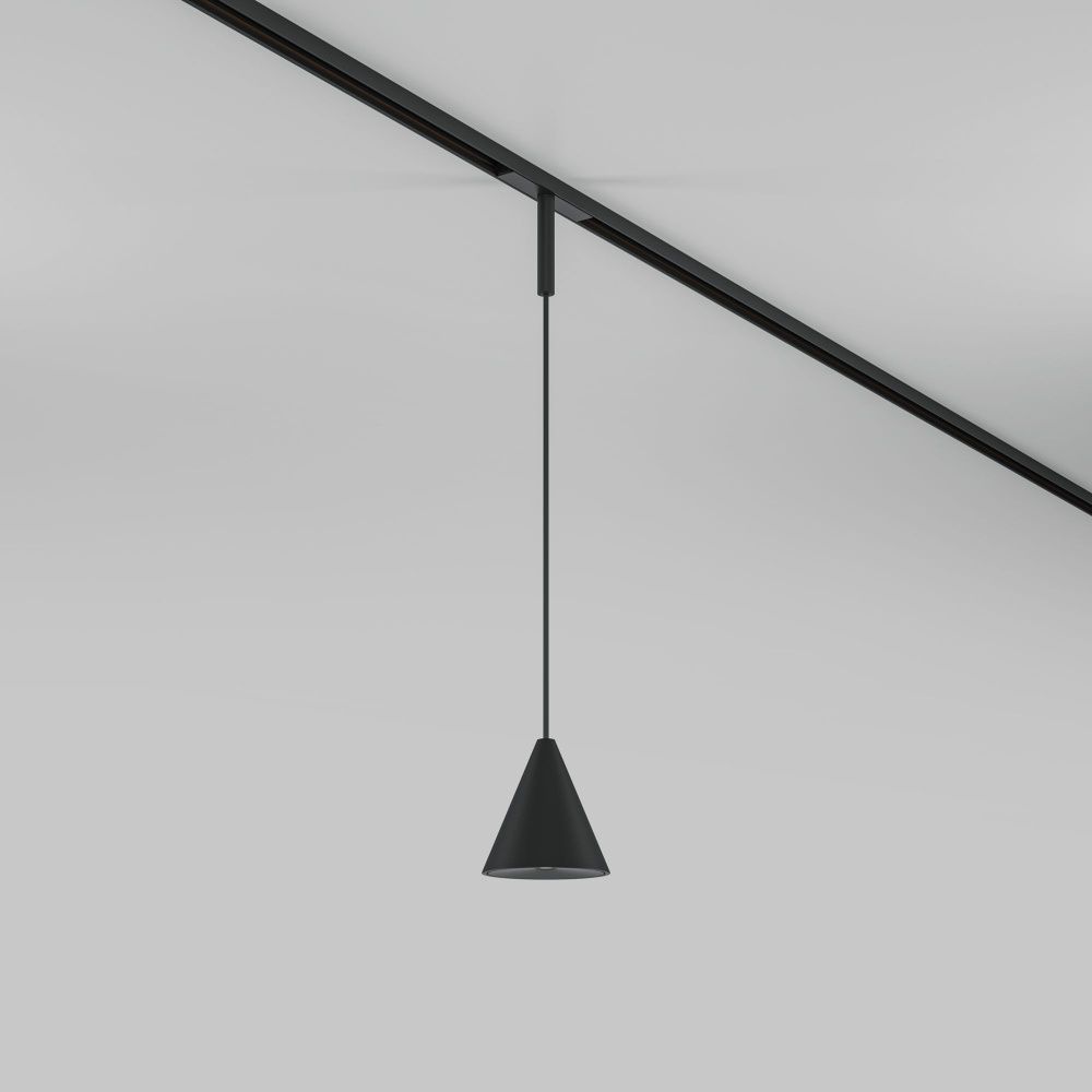 Трековый подвесной светильник Maytoni TR182-1-5WTW-M-B