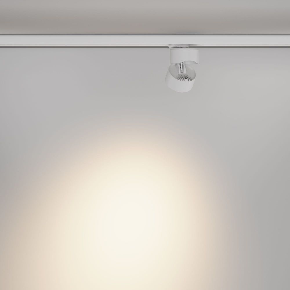 Трековый светильник Maytoni TR199-3-15W2.7K-M-W