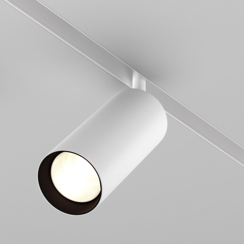 Трековый светильник Maytoni TR032-2-20W3K-S-W