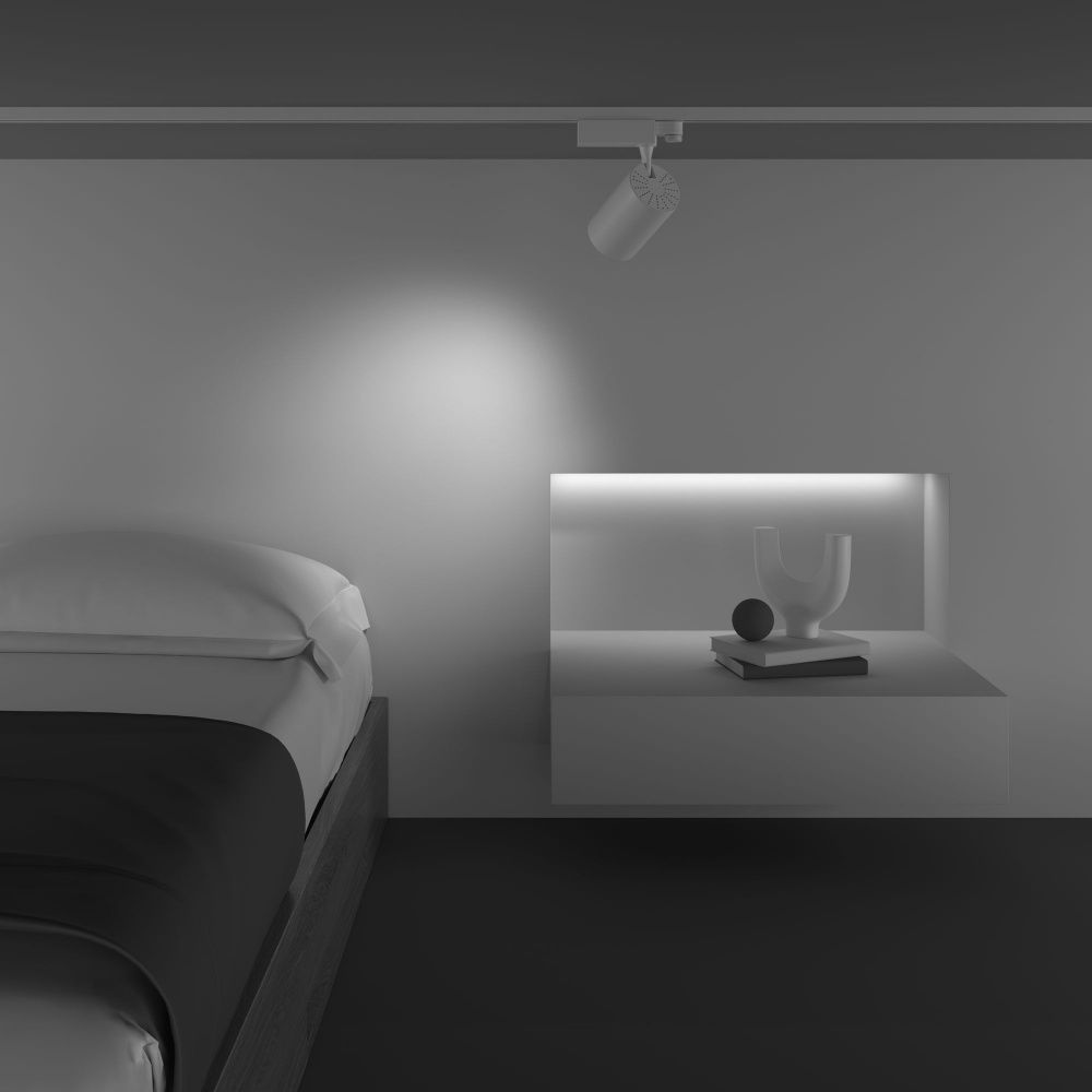 Трековый светильник Maytoni TR029-3-20W3K-M-W