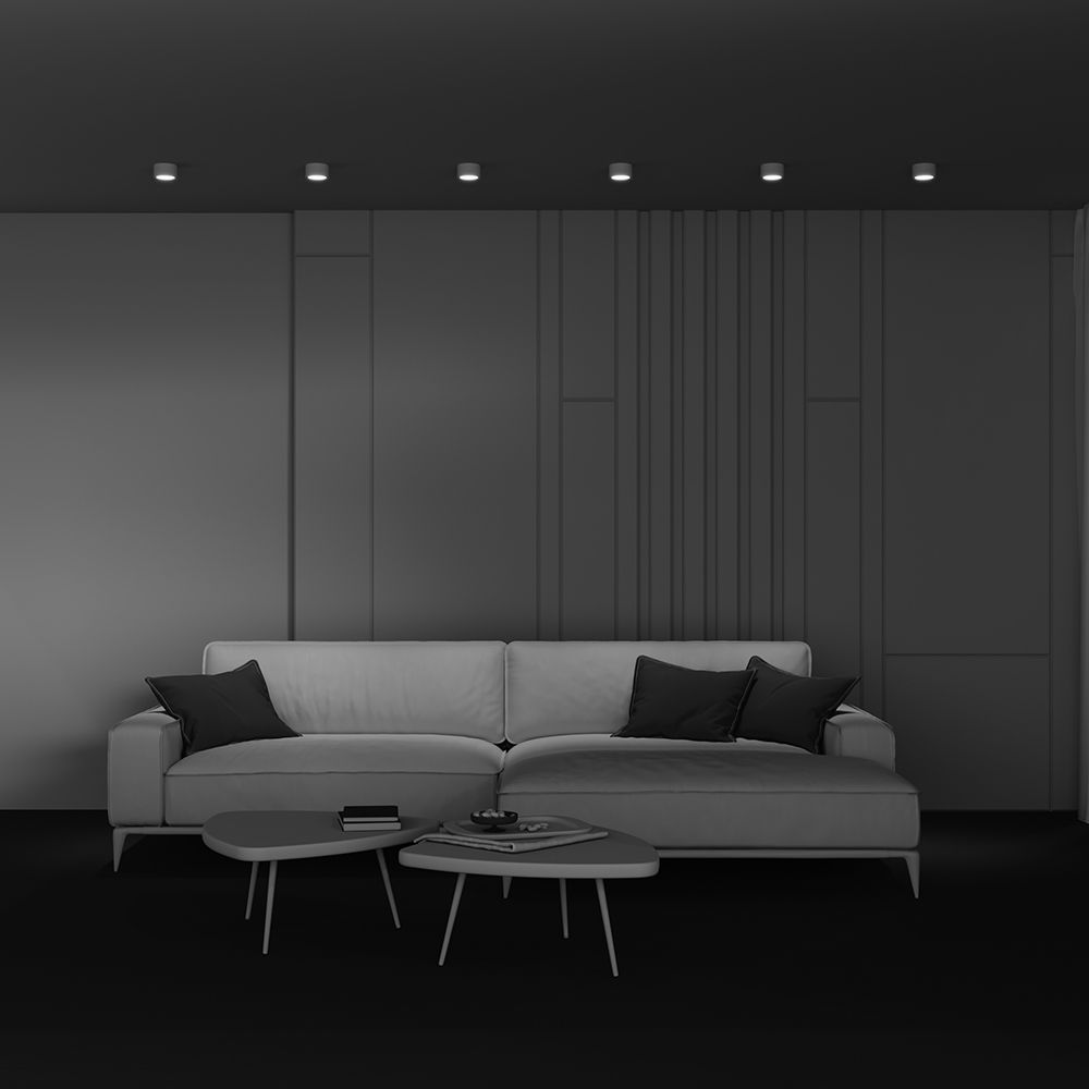Потолочный светильник Maytoni C001CL-GX53-W