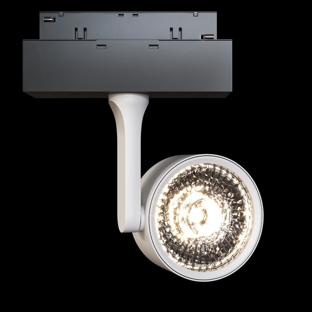 Трековый светильник Maytoni TR024-2-10W3K