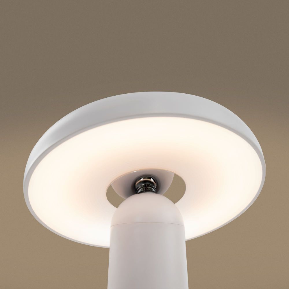 Аккумуляторный светильник Freya FR6109TL-L4W