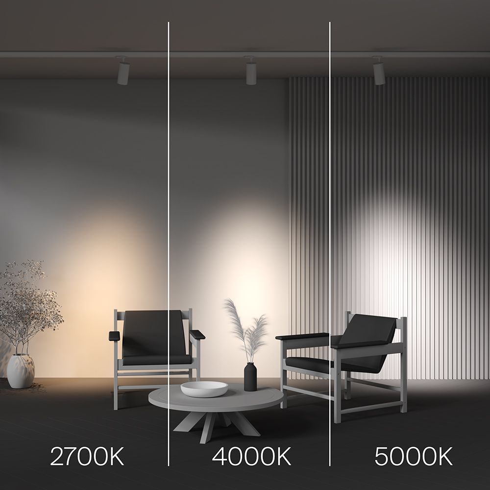 Трековый светильник Maytoni TR197-3-30WCCT-M-W