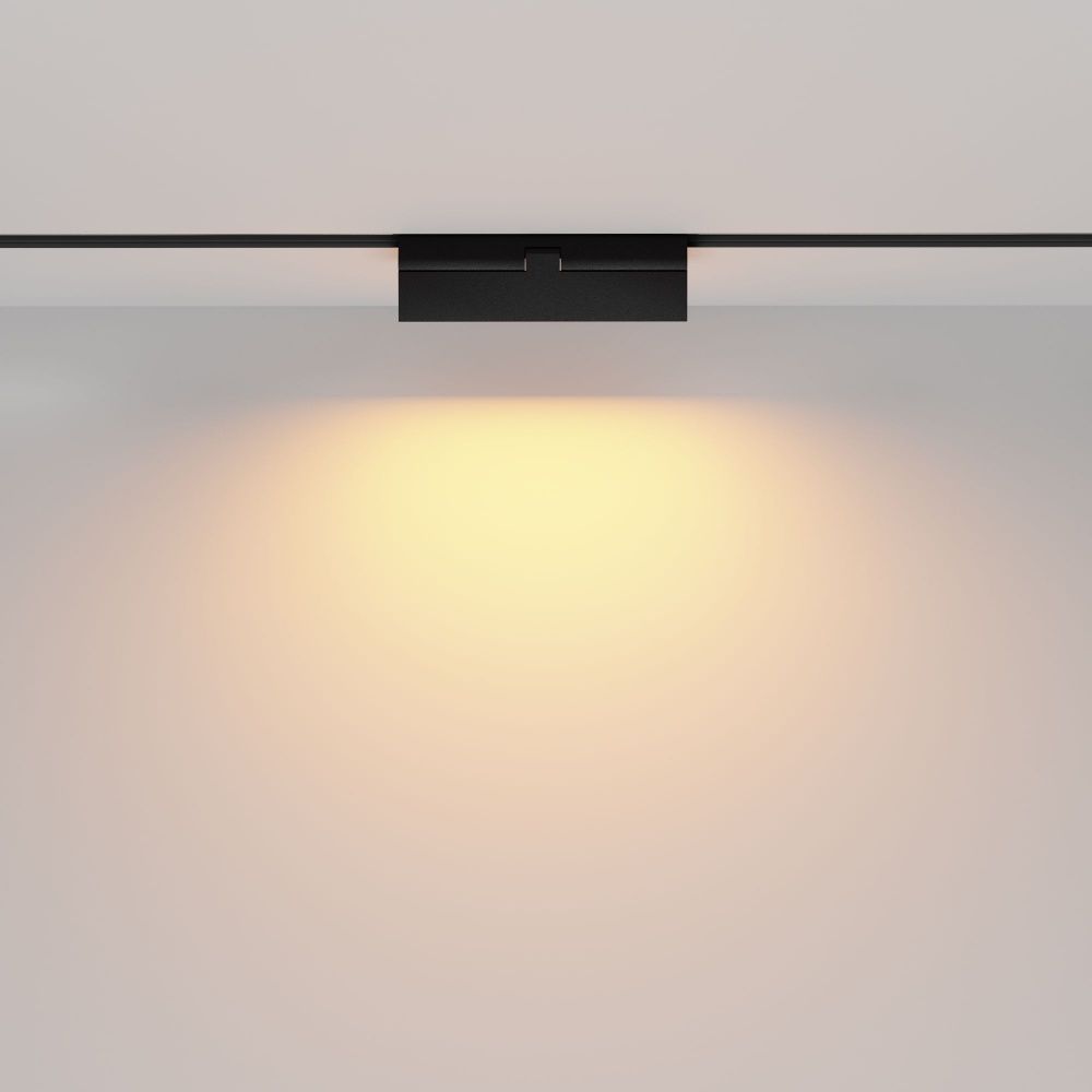 Трековый светильник Maytoni TR036-2-12W2.7K-B