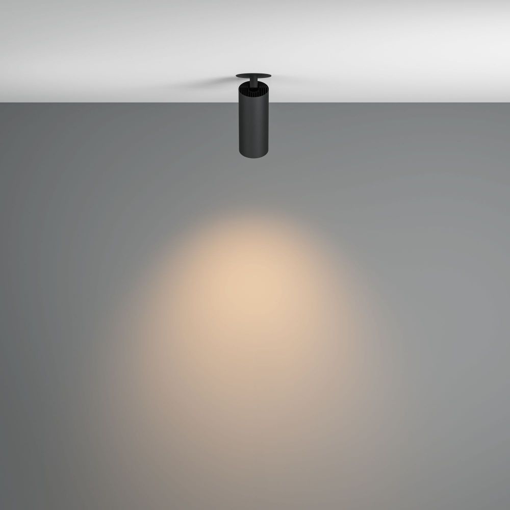 Потолочный светильник Maytoni C053CL-L12W3K-W-B