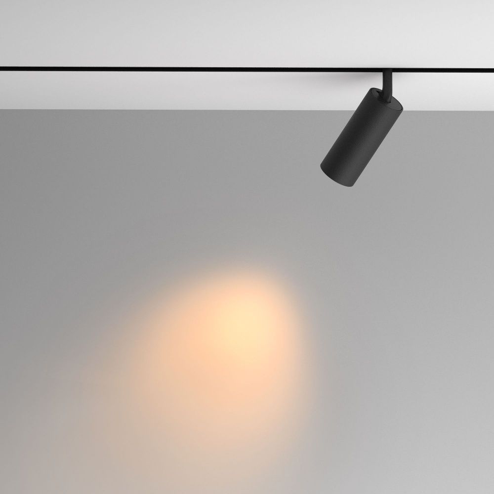 Трековый светильник Maytoni TR097-2-12W2.7K-M-BB