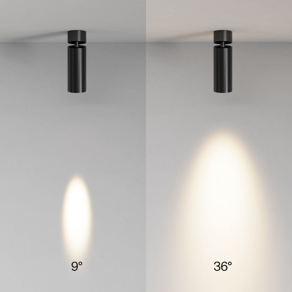 Потолочный светильник Maytoni C055CL-L12W2.7K-SS-B