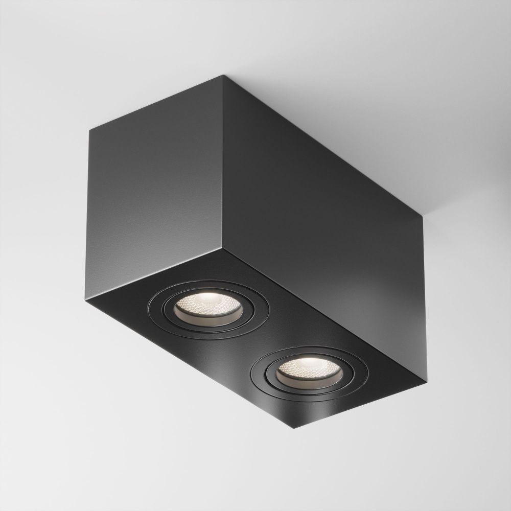 Потолочный светильник Maytoni C017CL-02B