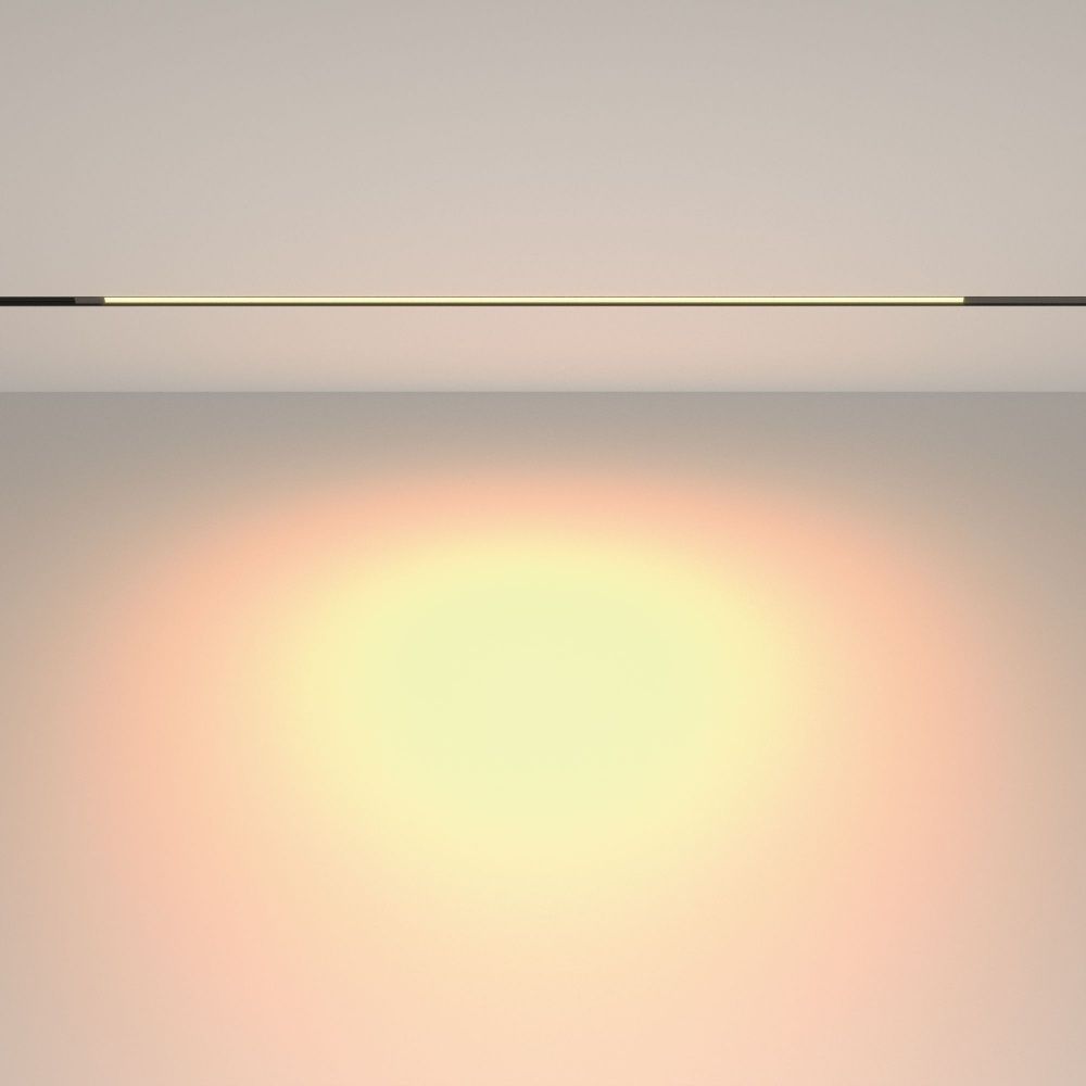Трековый светильник Maytoni TR231-2-15W3K-B