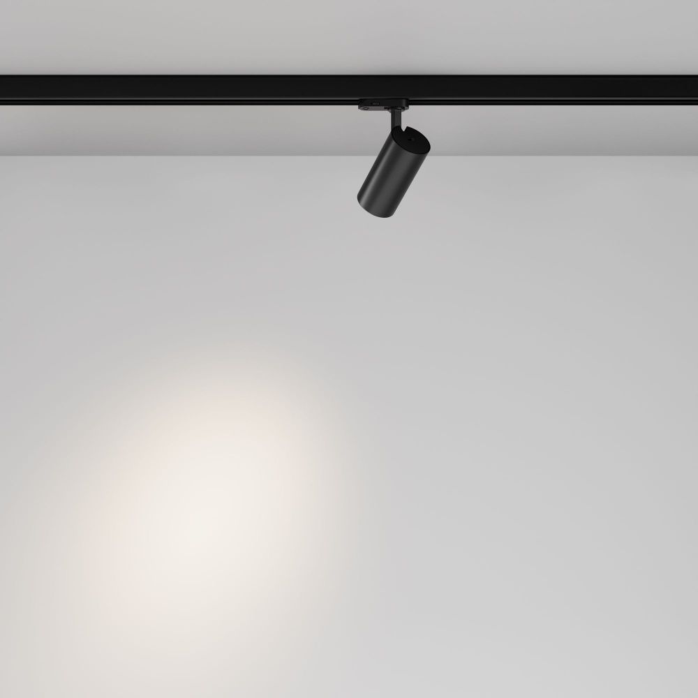 Трековый светильник Maytoni TR197-3-12WCCT-M-B