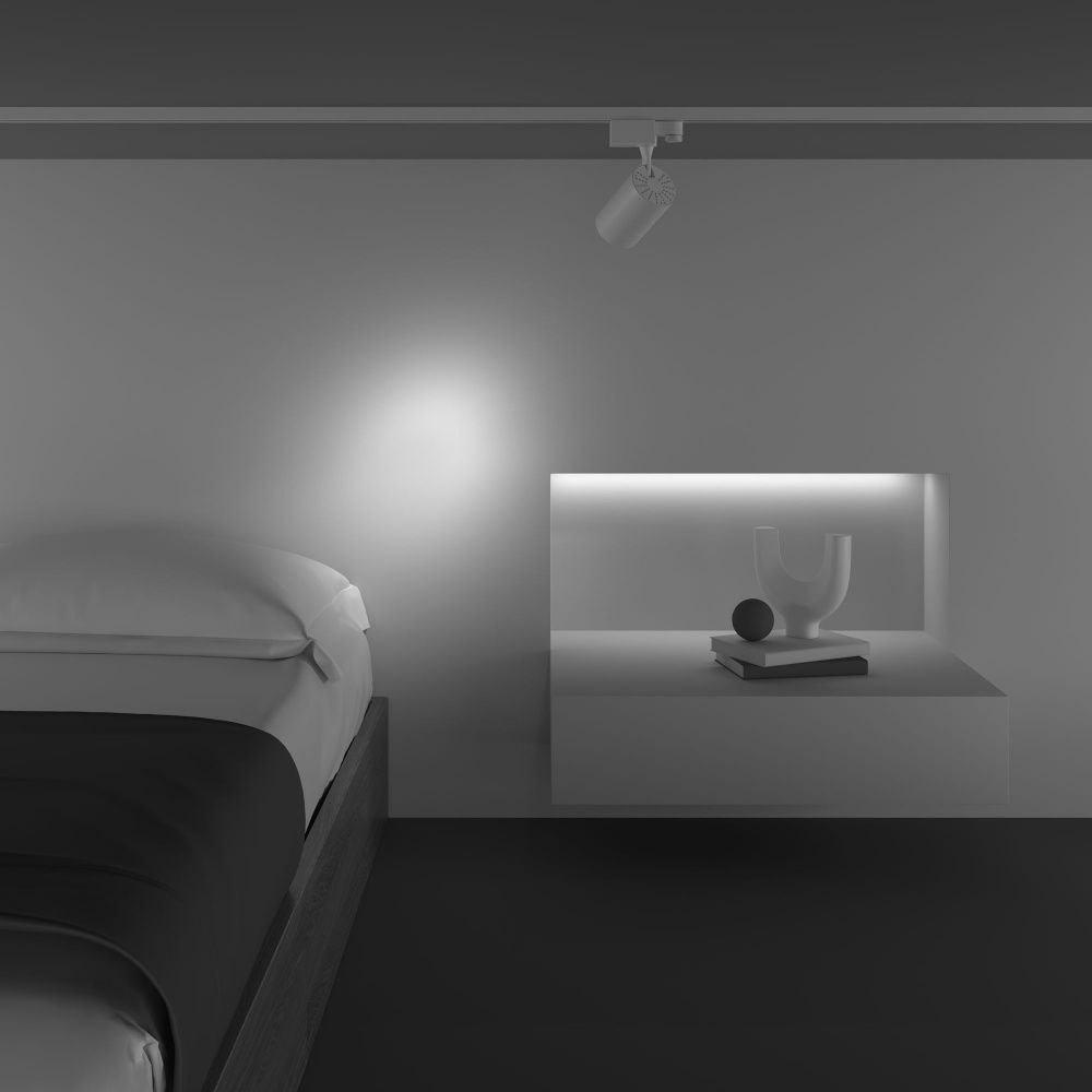 Трековый светильник Maytoni TR029-3-10W3K-S-W