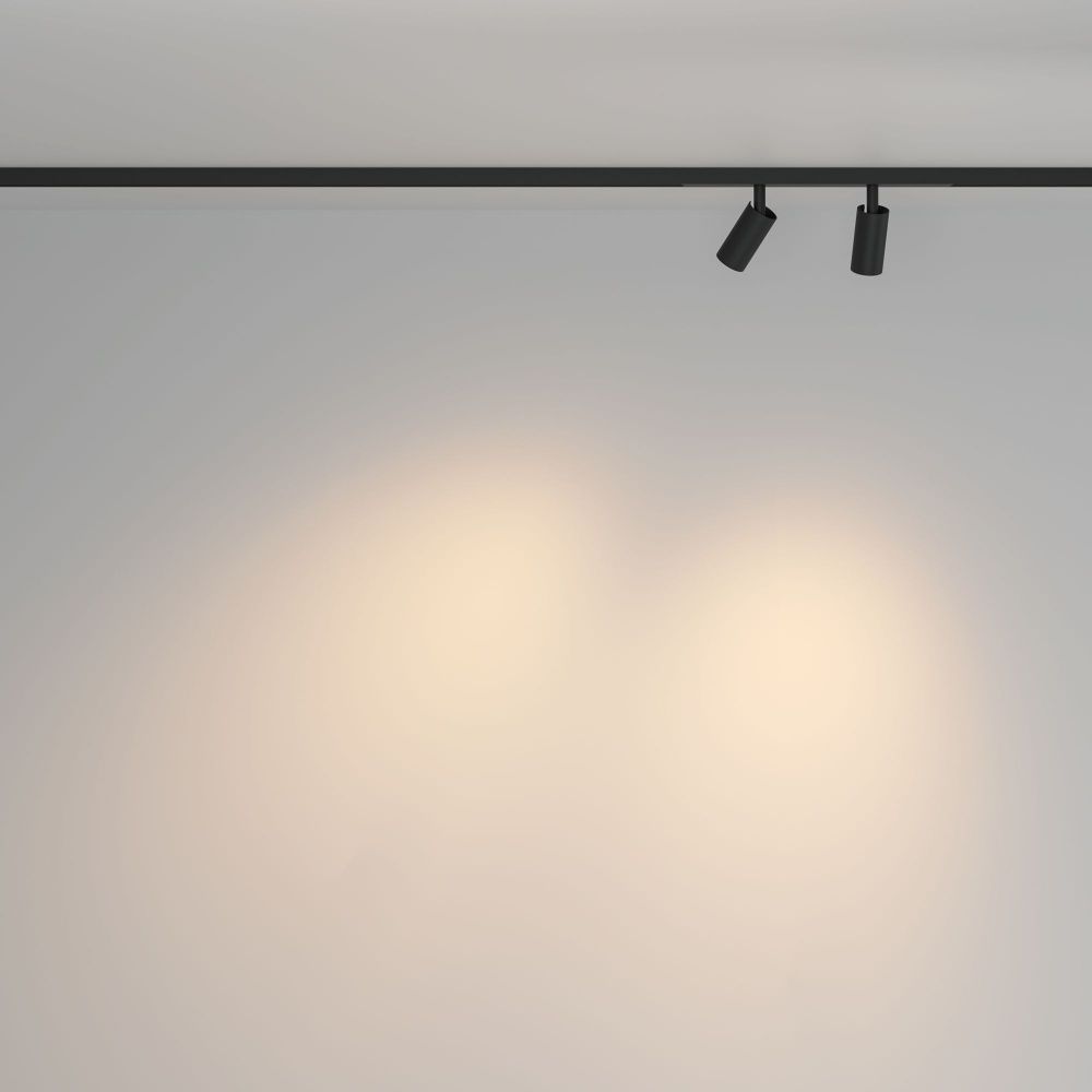 Трековый светильник Maytoni TR176-1-2X3WTW-M-B
