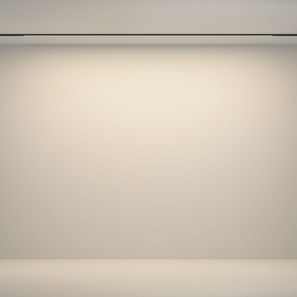 Трековый светильник Maytoni TR180-1-24WTW-B