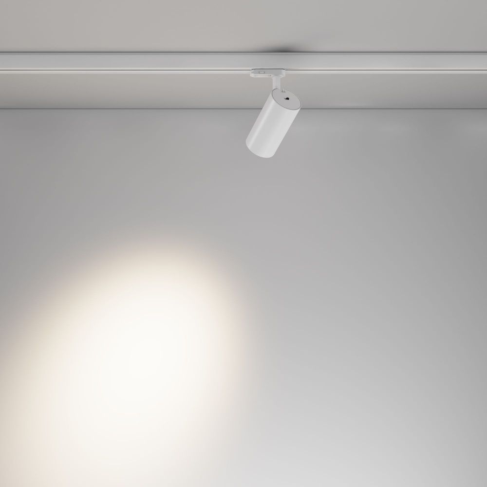 Трековый светильник Maytoni TR197-3-20WCCT-M-W