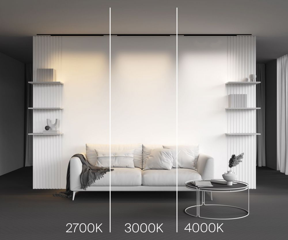 Трековый светильник Maytoni TR192-1-21W2.7K-B