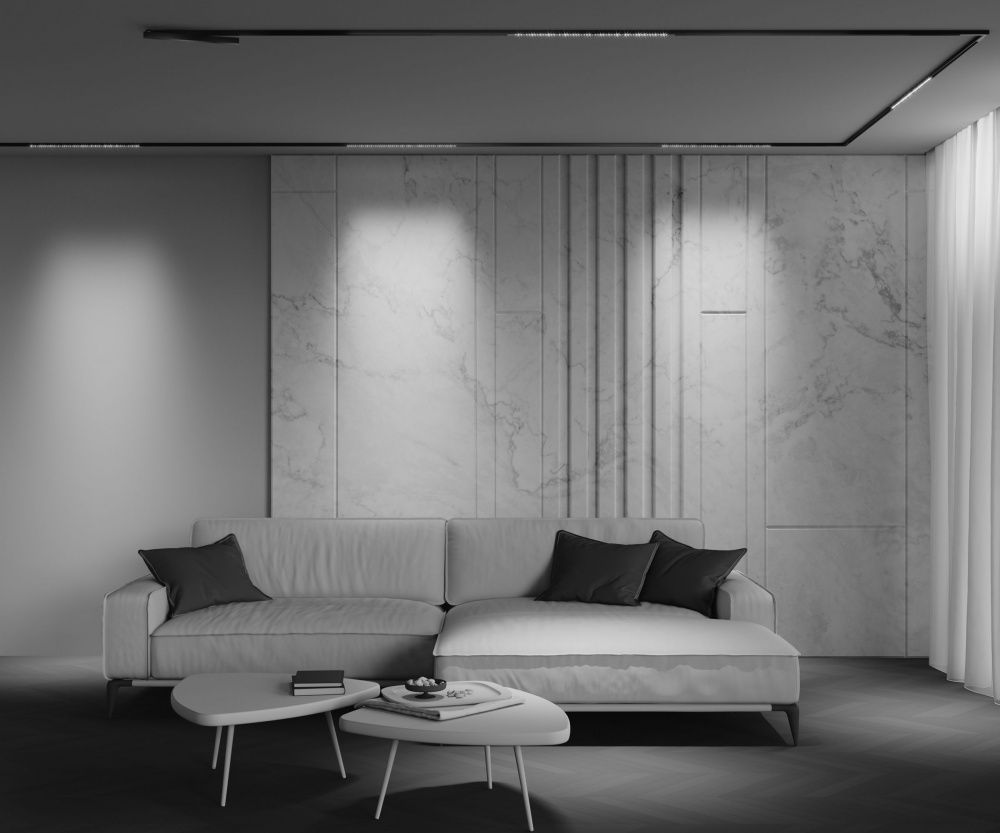 Трековый светильник Maytoni TR241-2-12W3K-B